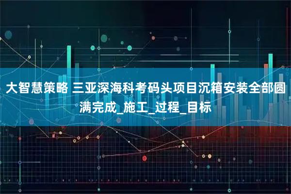 大智慧策略 三亚深海科考码头项目沉箱安装全部圆满完成_施工_过程_目标