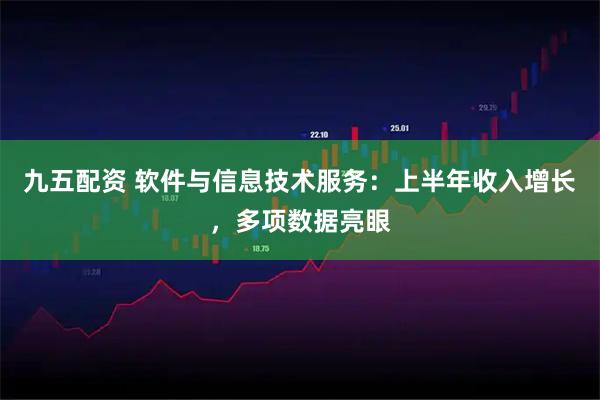 九五配资 软件与信息技术服务：上半年收入增长，多项数据亮眼